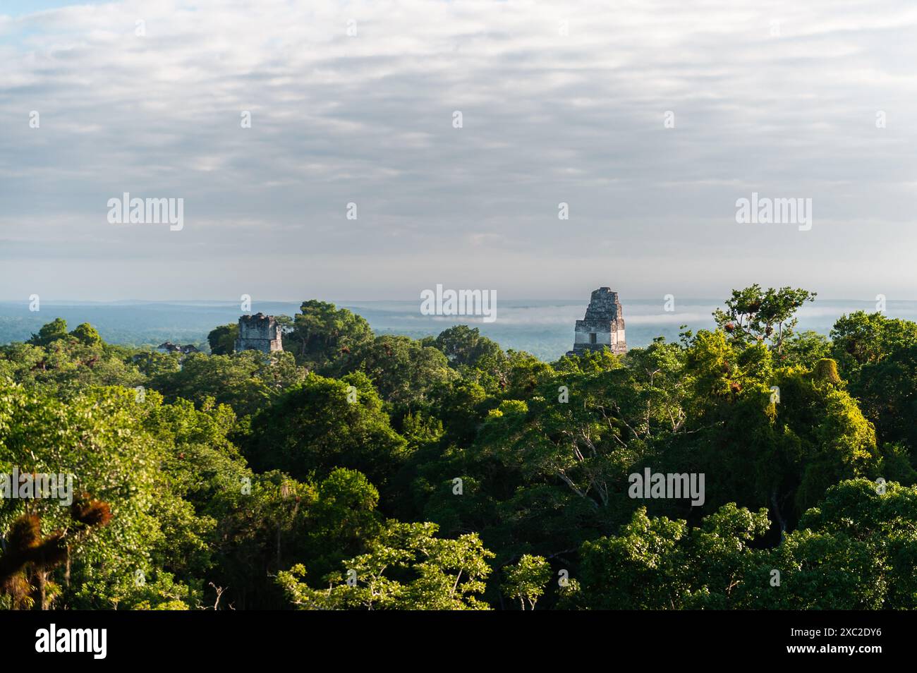 Vista delle rovine di Tikal in Guatemala durante l'alba Foto Stock