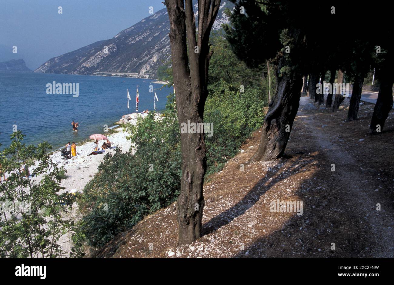 Spiaggia di Torri del Benaco sulla sponda orientale del Lago di Garda, Veneto, Lombardia, Italia Foto Stock