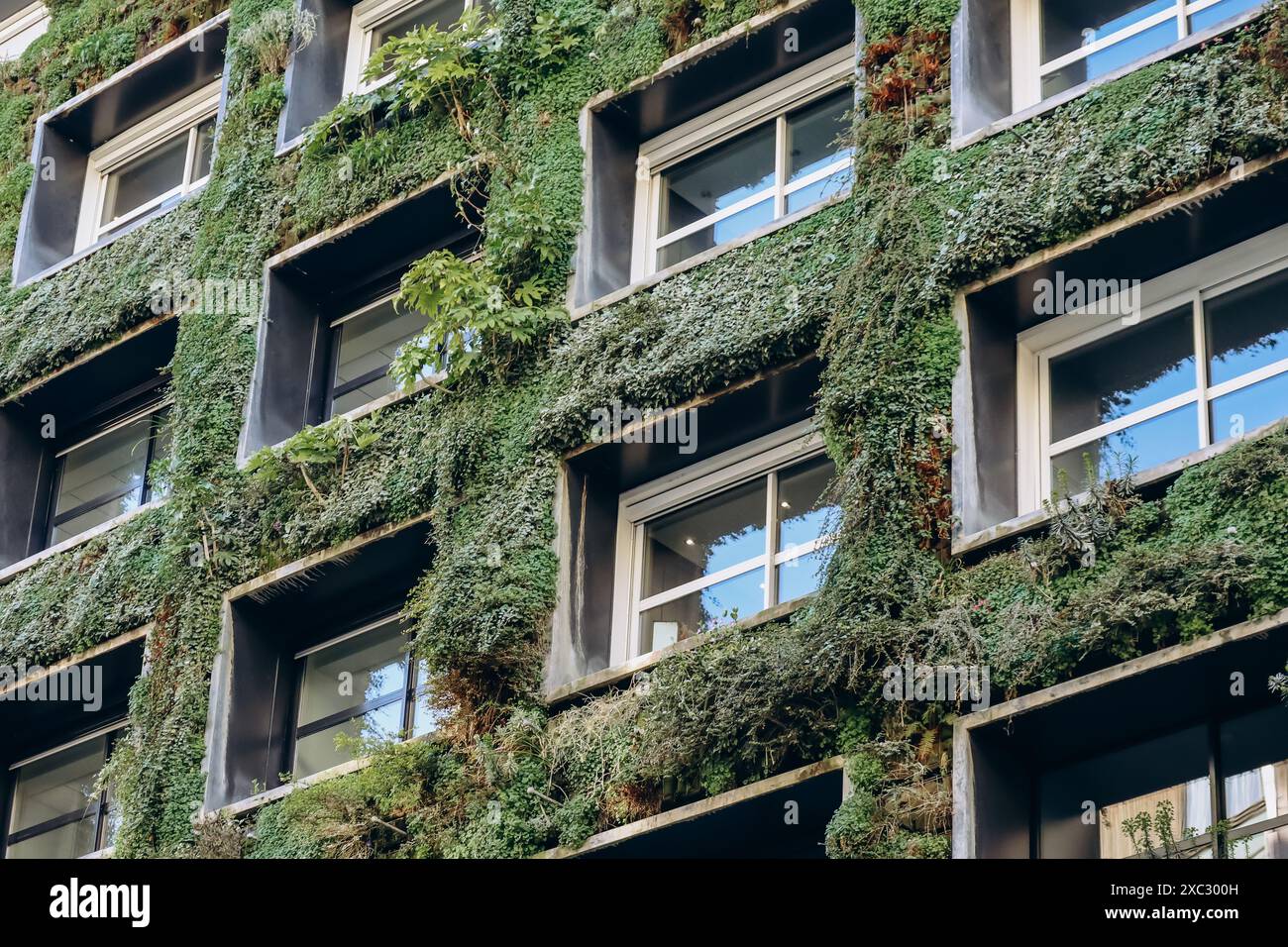 Facciata ecologica ricoperta di piante verdi nel 16° arrondissement di Parigi Foto Stock