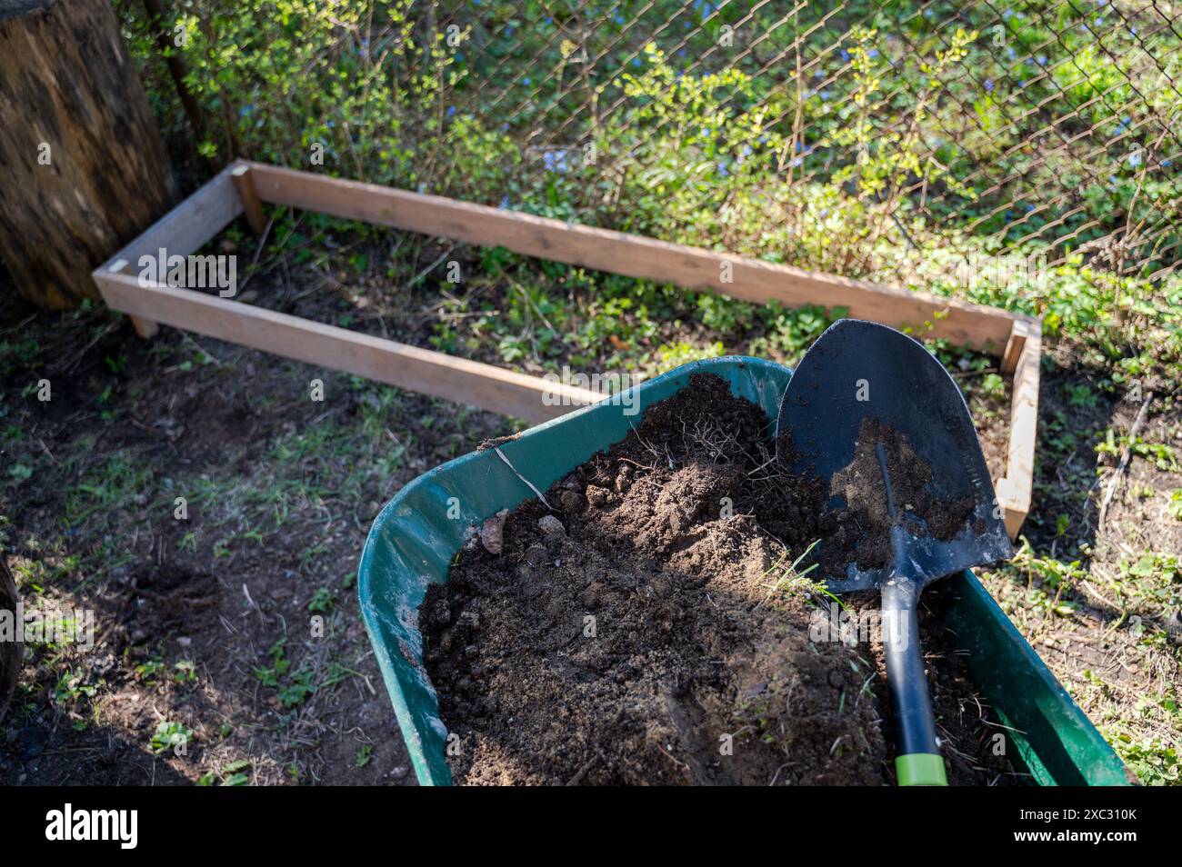 Costruzione di letti rialzati in legno in corso nel giardino di casa Foto Stock
