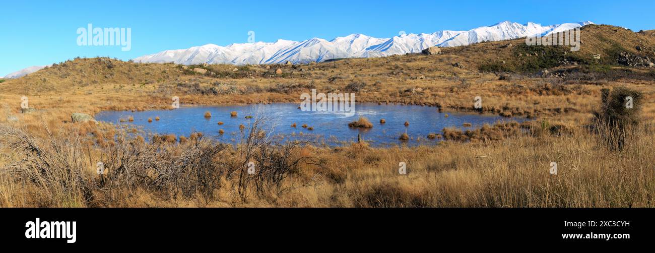 Un piccolo lago alpino nelle Alpi meridionali, nuova Zelanda Foto Stock