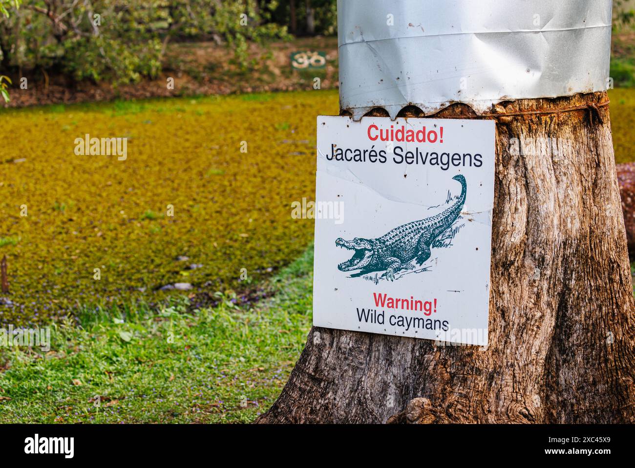 Cartello segnaletico sulle cayman selvatiche vicino a un lago nei terreni del Pousada Araras Eco Lodge in zona Rural, Poconé, a nord di Pantanal, Brasile Foto Stock