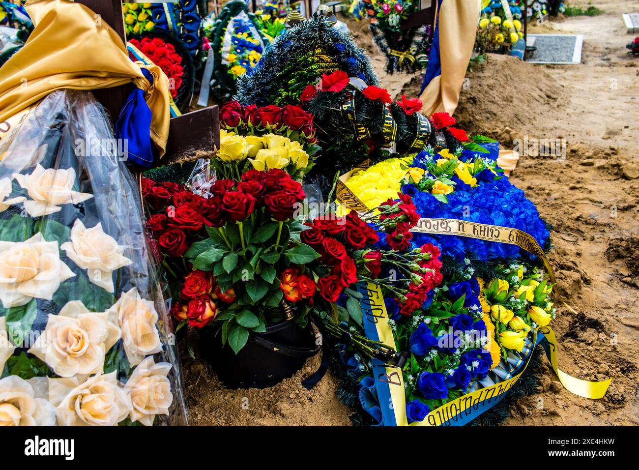 Charkiv, Ucraina, 13 giugno 2024 Aleya Slavy, cimitero militare a sud di Charkiv. Le tombe dei soldati, eroi che hanno difeso l'Ucraina sono coperte Foto Stock