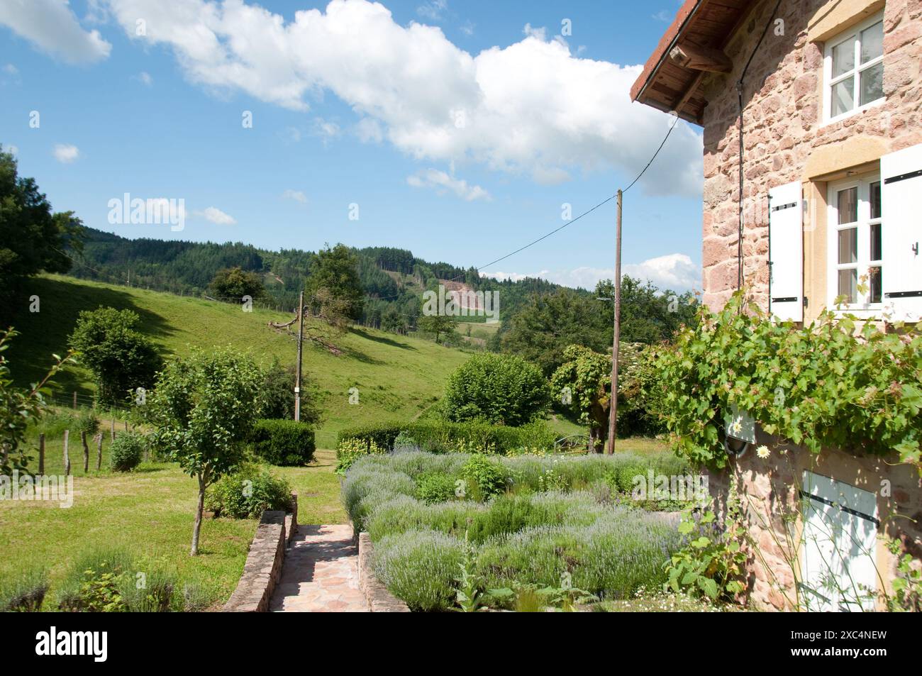 Vista, Belmont de la Loire, Loira, Francia orientale Foto Stock