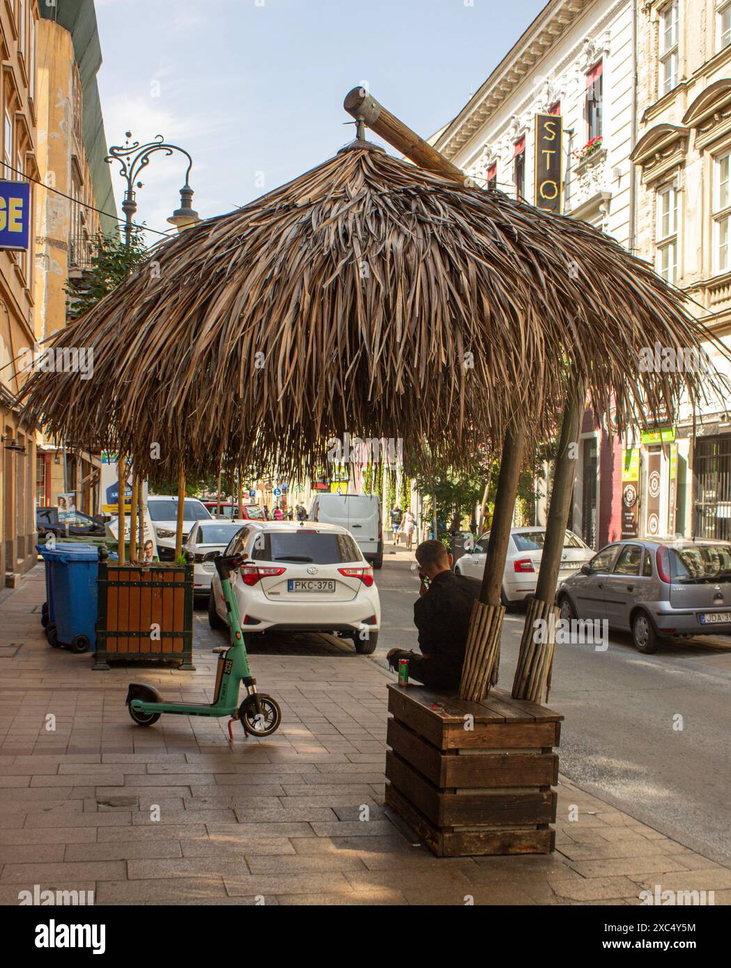 "Urban Oasis: Un momento tranquillo sotto il Palm Thatch, in mezzo Foto Stock