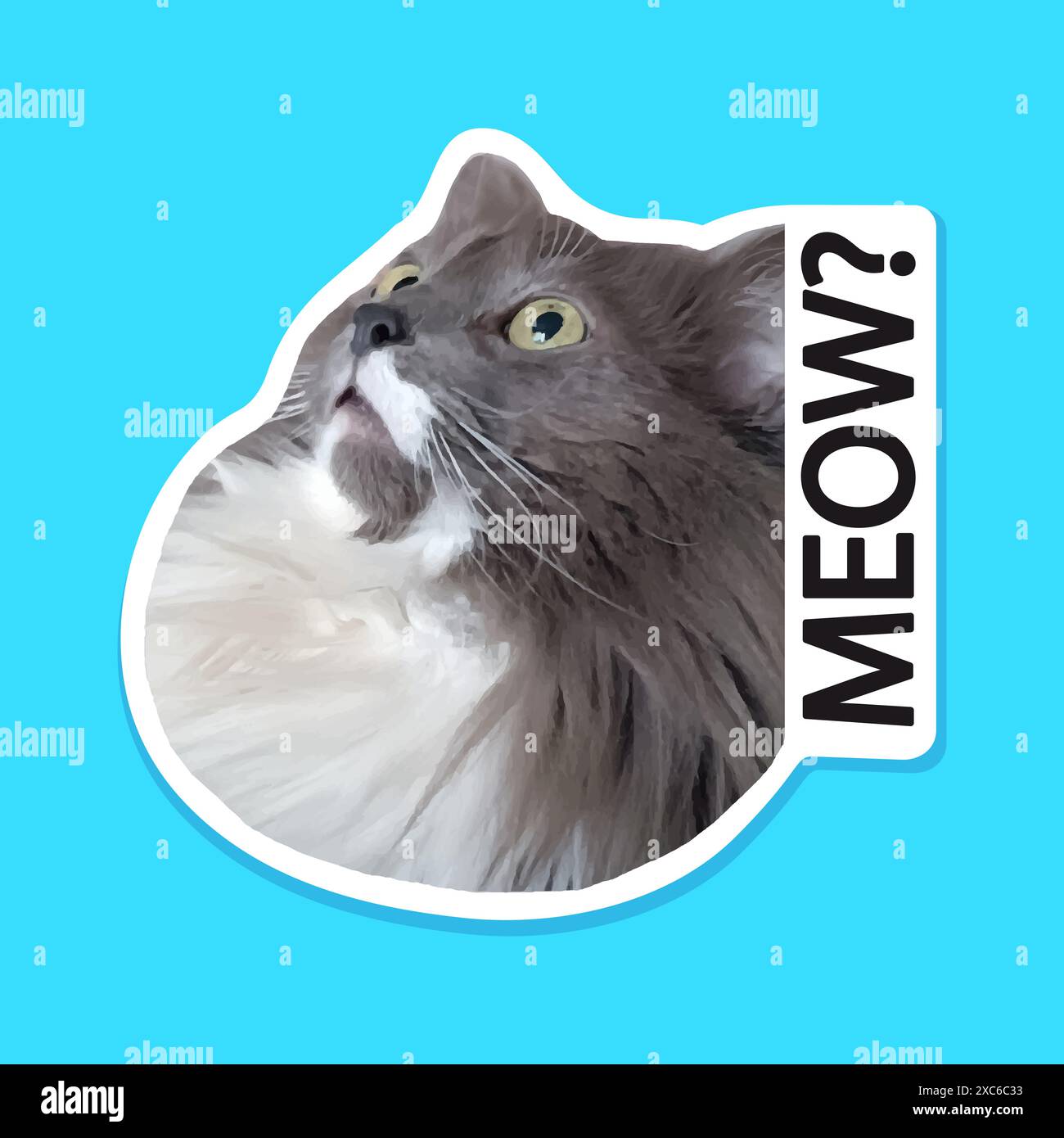 Gatto sorpreso. Gatto parlante. Meow! Stampa su una maglietta. Adesivo vettoriale. Stile realistico. Illustrazione Vettoriale