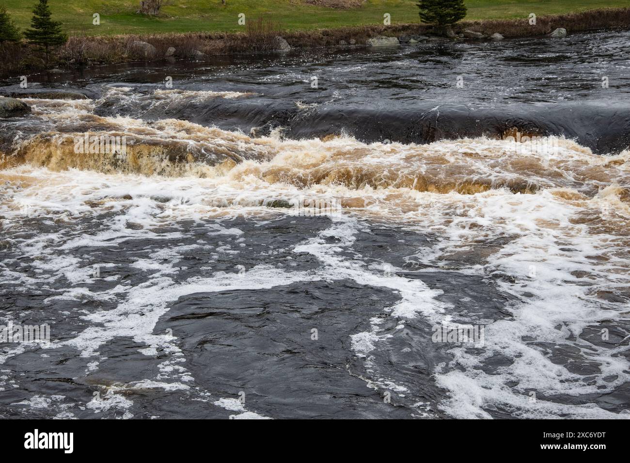 Liscomb River a Liscomb, nuova Scozia, Canada Foto Stock