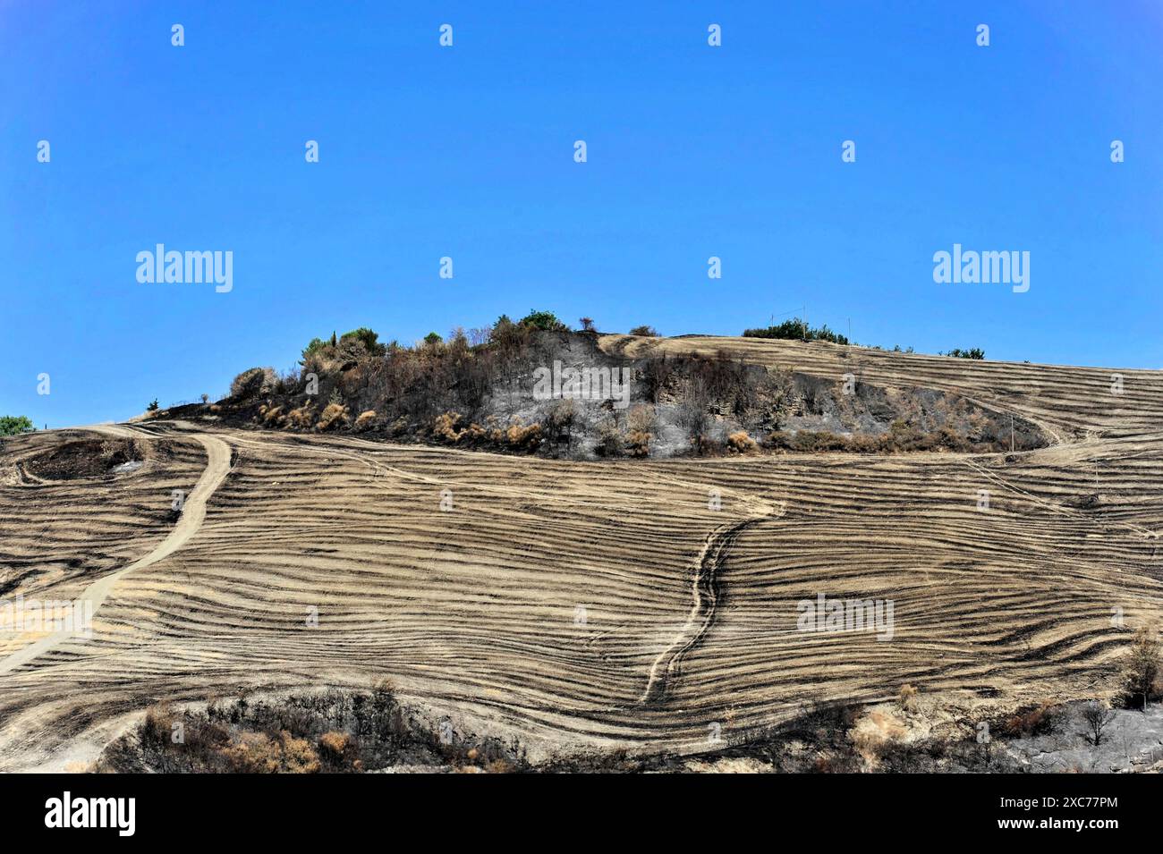 Paesaggio a sud di Pienza, Toscana, Italia, Europa, colline aride con poca vegetazione sotto un cielo limpido, Toscana, vigneti toscani sulle colline con Foto Stock