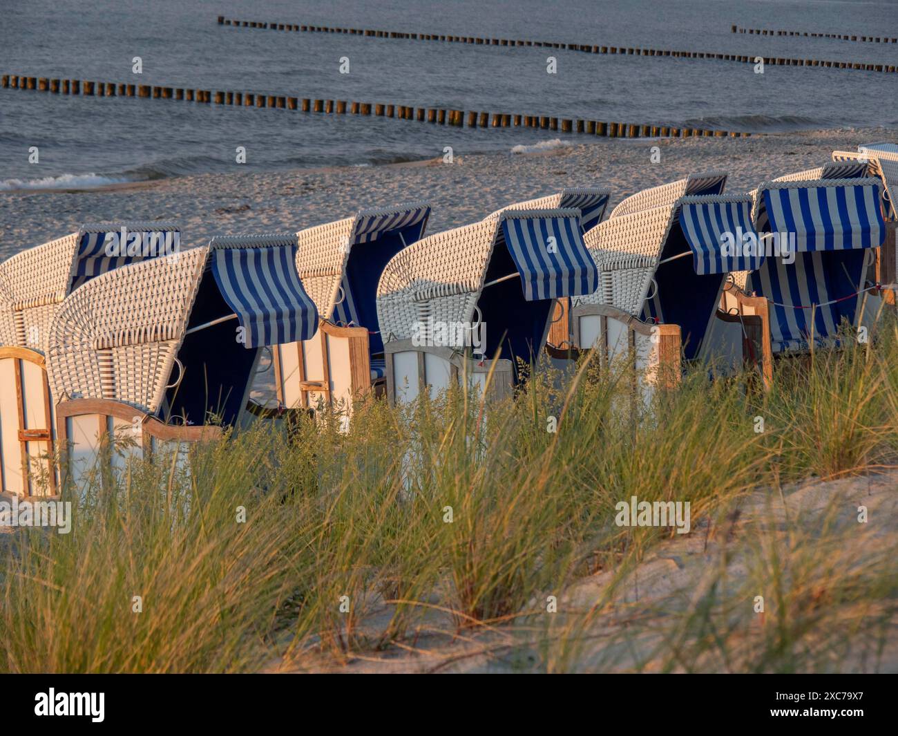 Fila di sdraio su una spiaggia erbosa al tramonto, zingst, Mar baltico, germania Foto Stock