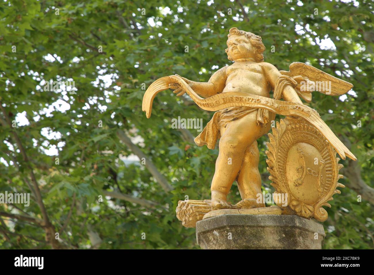 Scultura dell'angelo d'oro alla fontana, putto con nastro e stemma, dorato, bambino, dettaglio, piazza del municipio, Carpentras, Vaucluse, Provenza Foto Stock