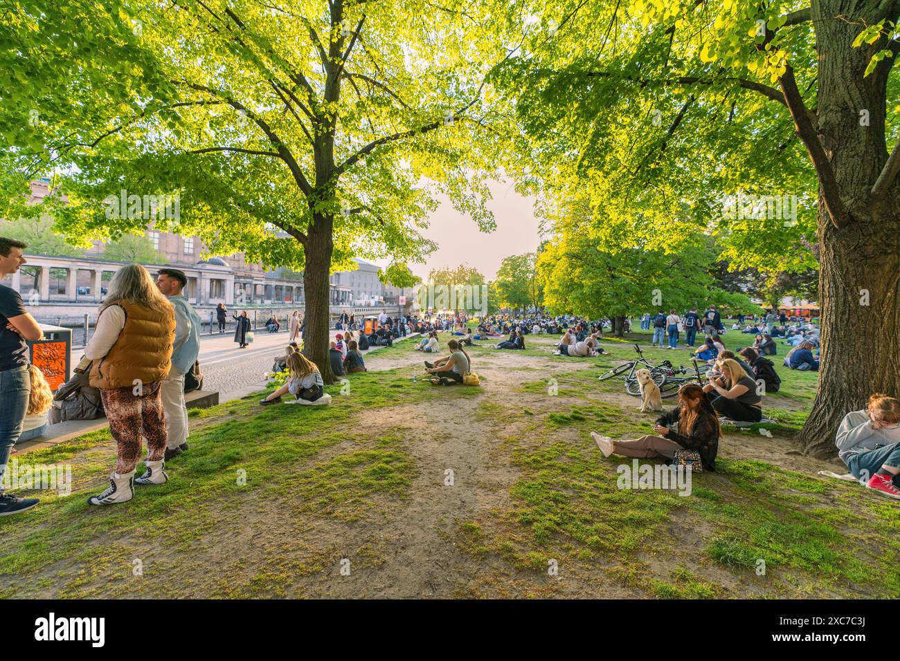 Parco vivace con gente che si rilassa sotto grandi alberi. Atmosfera soleggiata, verde e accogliente, Berlino, Germania Foto Stock