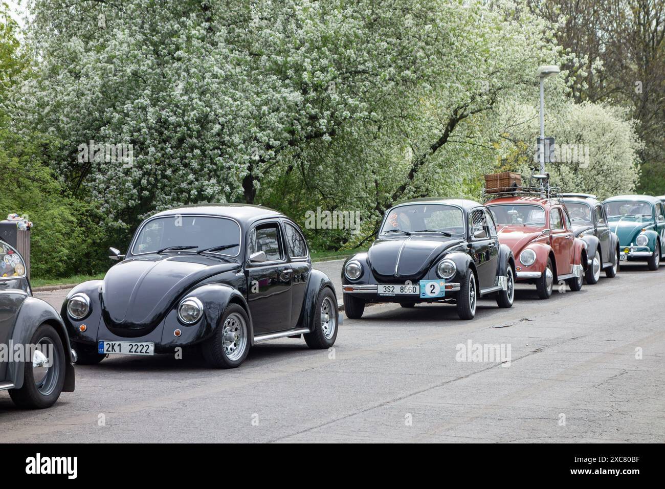 PRAGA, REPUBBLICA CECA - 25 aprile 2015: Auto VW Beetle originali d'epoca, incontro con auto storiche a Praga, repubblica Ceca Foto Stock