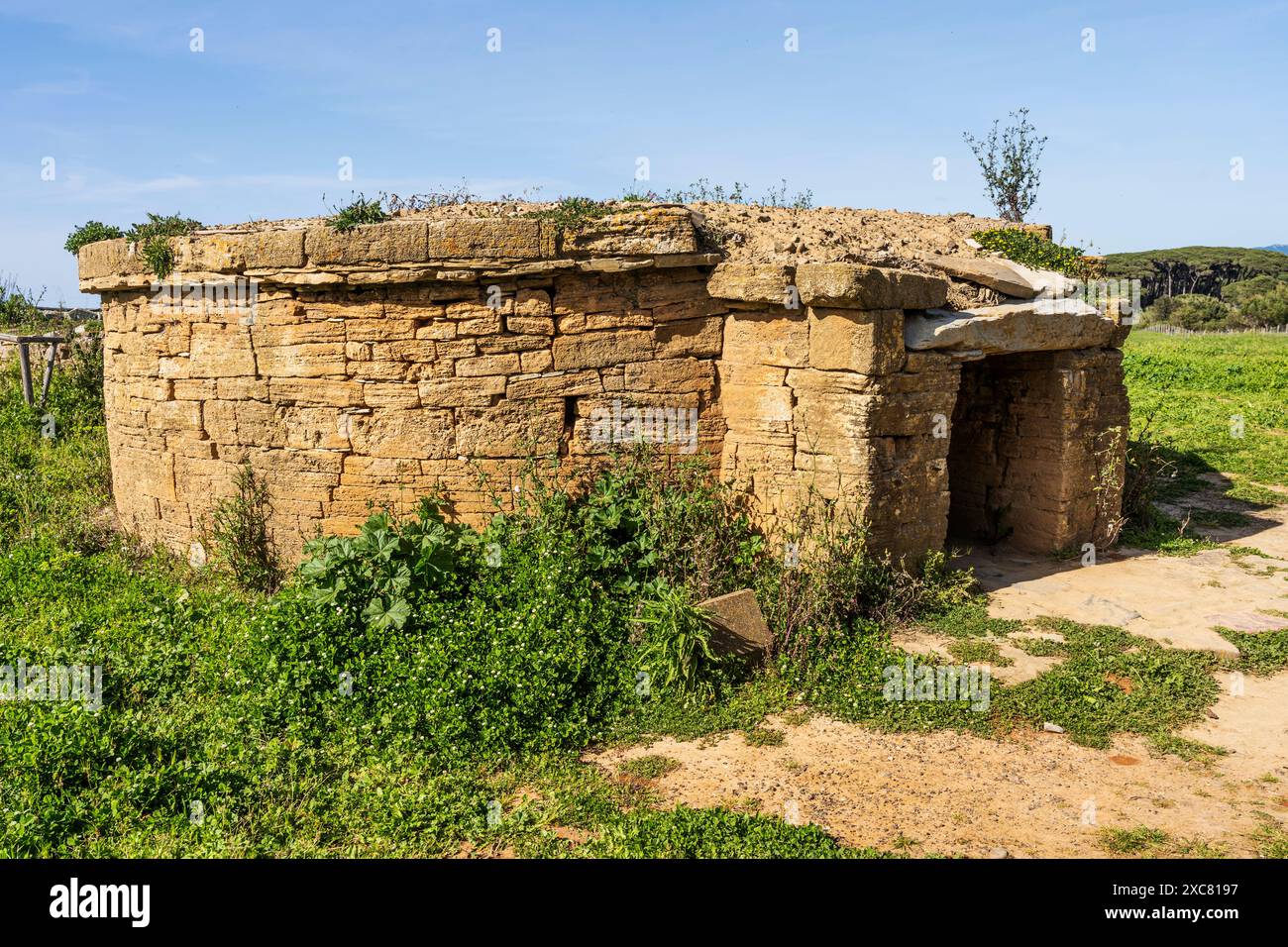 Tomba etrusca nella Necropoli di San Cerbone, Parco Archeologico di Baratti e Populonia, Golfo di Baratti, provincia di Livorno, Toscana, Italia Foto Stock