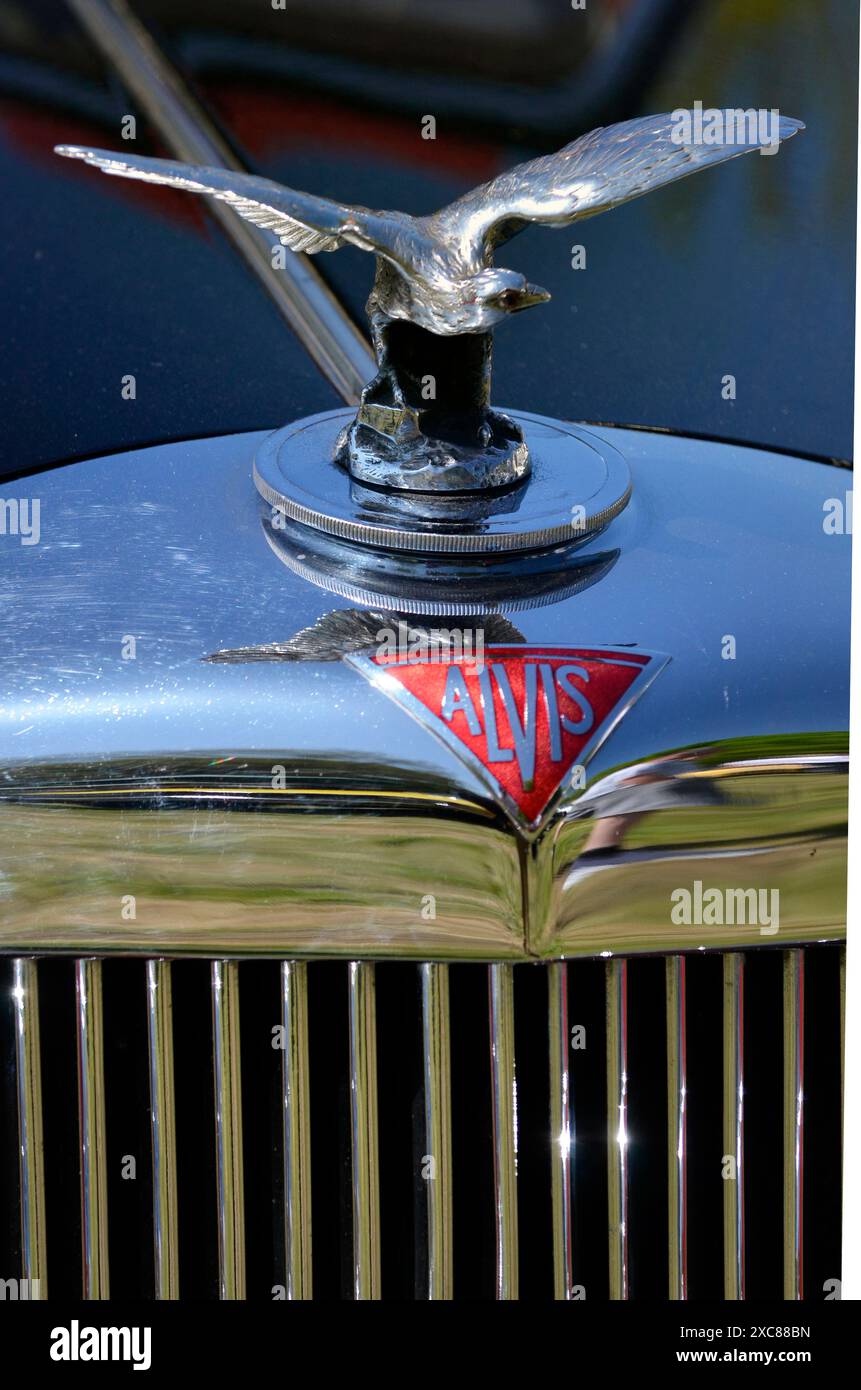 radiatore per auto alvis vintage e mascotte con serbatoio di espansione earsham norfolk inghilterra Foto Stock