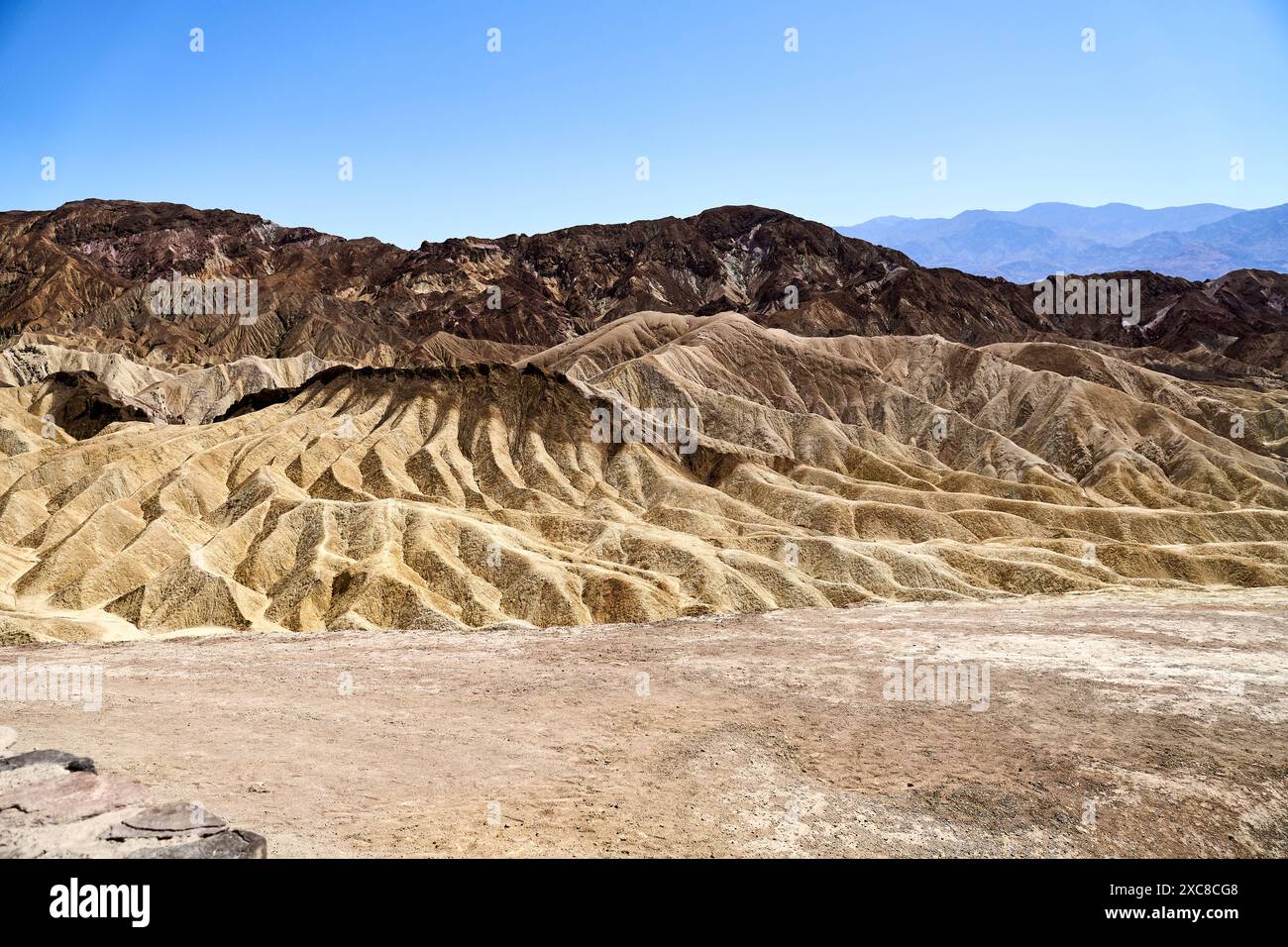 Death Valley National Park, California, Stati Uniti d'America - 10 giugno 2024: Vista delle impressionanti formazioni rocciose di Zabriskie Point nel Death Valley National Park, California, USA. Il paesaggio è caratterizzato da estrema secchezza e calore *** Blick auf die beeindruckenden Felsformationen am Zabriskie Point im Death Valley Nationalpark, Kalifornien, USA. Die Landschaft ist geprägt von Extremer Trockenheit und Hitze Foto Stock