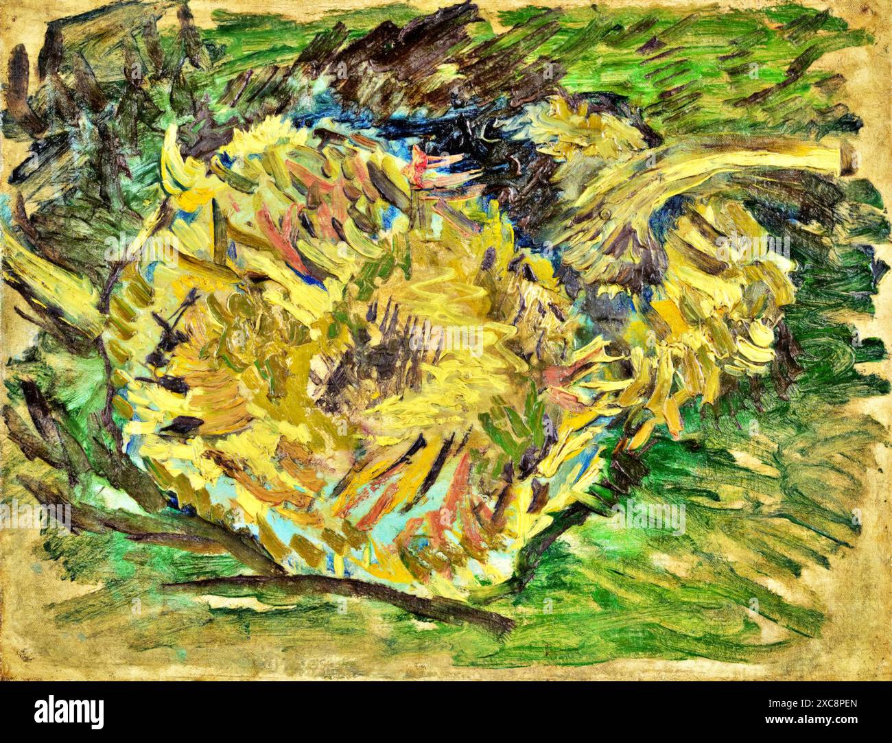 Girasoli andati a seme, 1887 (pittura) artista Gogh, Vincent van (1853-90) olandese. Illustrazione Vettoriale