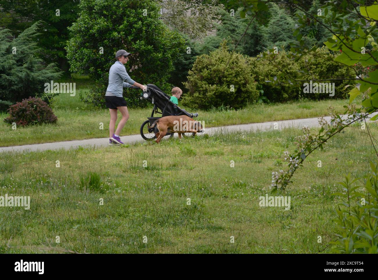 Una donna con un bambino e un cane apprezzano il parco pubblico di Flat Rock, North Carolina. Foto Stock