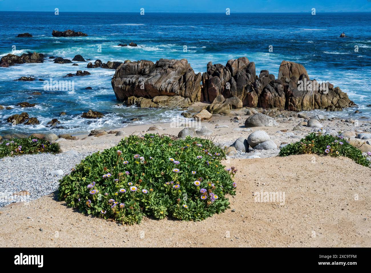 Monterey Bay, California, costa in una giornata di sole. Foto Stock