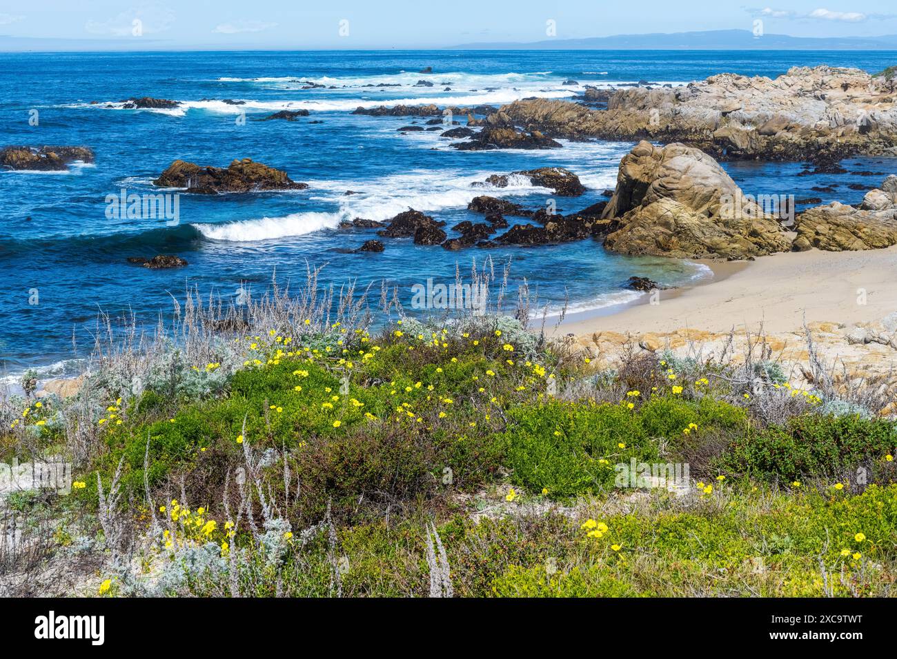 Monterey Bay, California, costa in una giornata di sole. Foto Stock