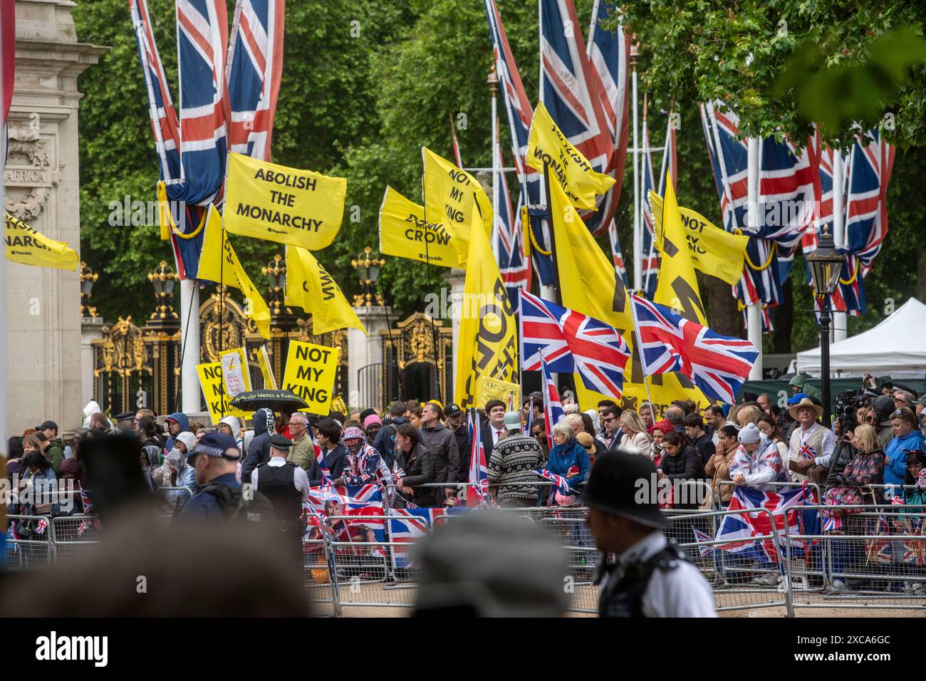 © Jeff Moore. Antirealisti al Mall for the Trooping the Colour 15/06/2024 Foto Stock