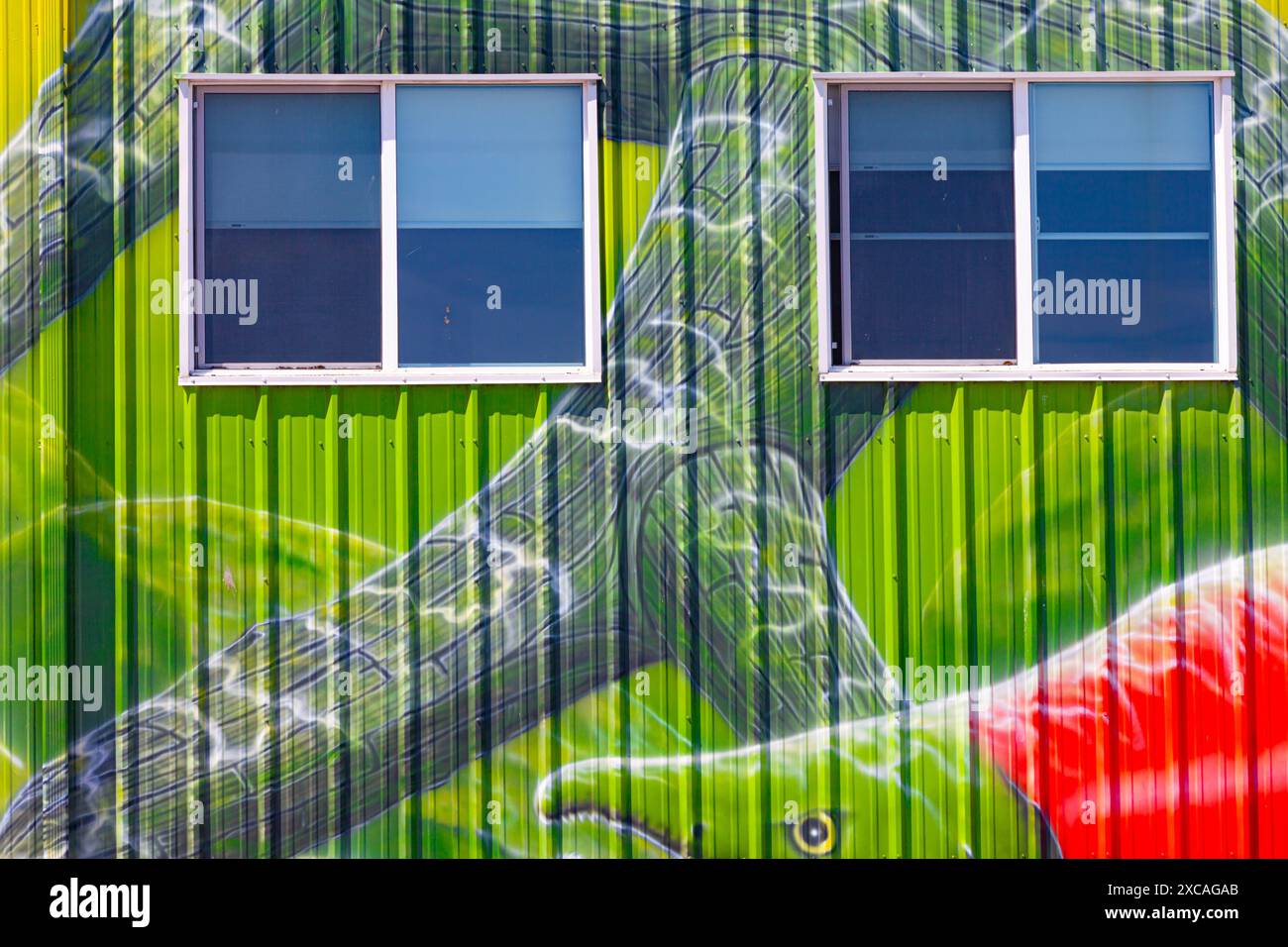 Pittura murale al salmone sul lato di un edificio industriale a Steveston, British Columbia, Canada Foto Stock