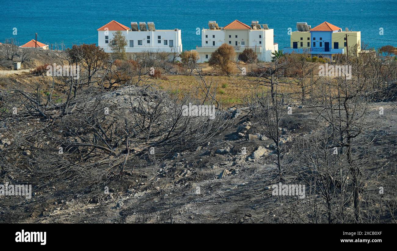 Paesaggio bruciato con case sullo sfondo vicino al mare, trasmette un'atmosfera desolata a causa della distruzione, incendi boschivi, estate 2023, foresta Foto Stock