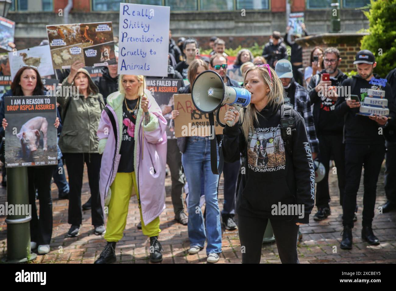 Un gruppo di manifestanti di diversi gruppi per i diritti degli animali si riuniscono e cantano fuori dalla sede della RSPCA durante la manifestazione. La RSPCA festeggia il suo 200° anniversario e gli attivisti per i diritti degli animali stanno mettendo in discussione il loro impegno per il benessere degli animali. Dopo una recente indagine sotto copertura, si dice che le aziende agricole che rientrano nel programma RSPCA Assured hanno dimostrato di avere un atroce benessere degli animali. I manifestanti affermano che il loro sistema di assicurazione non è in grado di proteggere gli animali d'allevamento, nonostante le affermazioni della RSPCA; gli animali che rientrano in questo schema soffrono di gravi problemi di salute e di scarsa vita Foto Stock