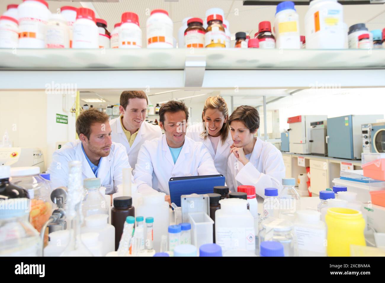 Ricercatori, laboratorio di test biologici, Fondazione Tecnalia, Centro tecnologico e di ricerca, Parco tecnologico di San Sebastian, Donostia, Gipuzkoa, Ba Foto Stock