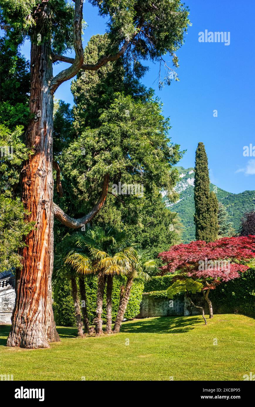 Giardino all'italiana sul lago di Como Foto Stock