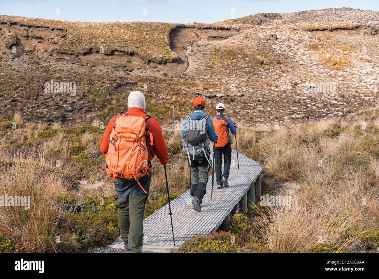 Gruppo di escursionisti in backpacker sul prato dorato a Tongariro, pista di attraversamento alpino in una giornata di sole all'Isola del Nord della nuova Zelanda Foto Stock
