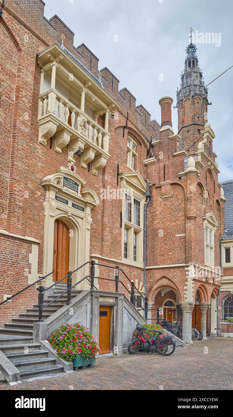 Haarlem, Olanda, vista laterale dell'edificio del Municipio Foto Stock