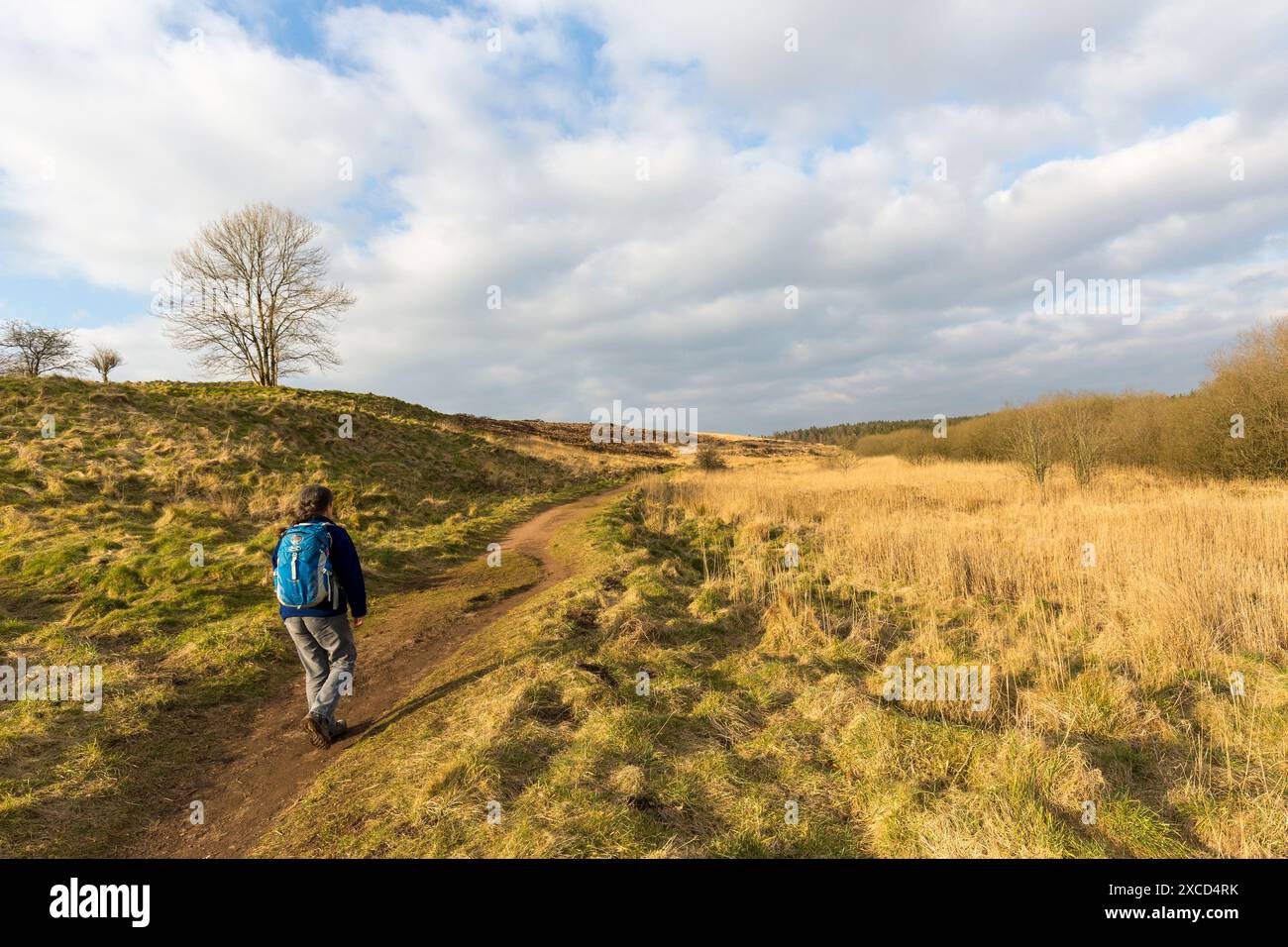 Donna che cammina su un sentiero attraverso le miniere, Somerset, Mendip, Regno Unito Foto Stock