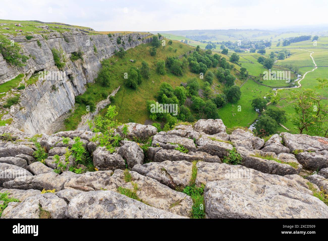 Malham Cove, Yorkshire Dales, REGNO UNITO Foto Stock