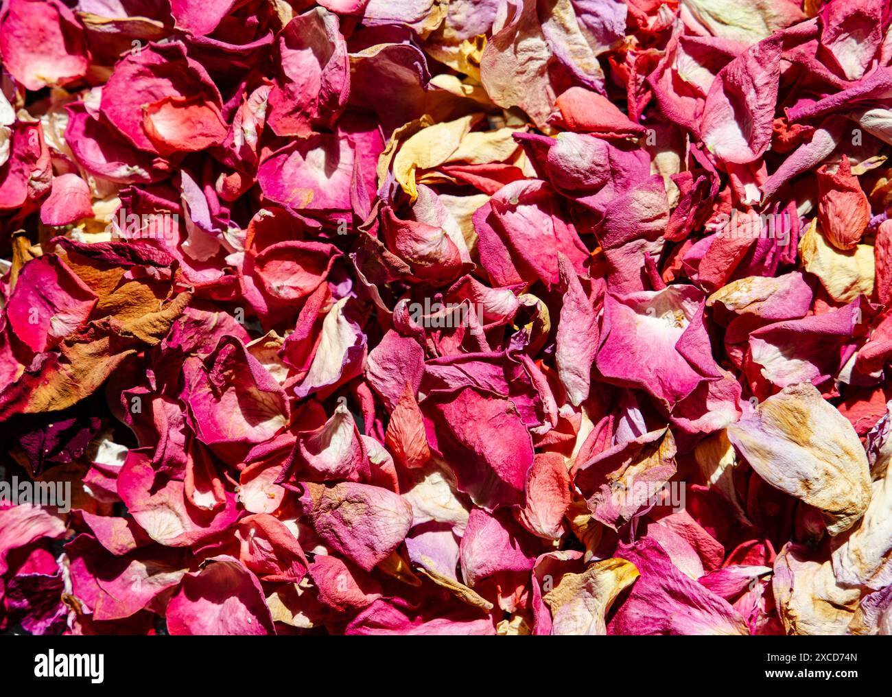 Primo piano di una miscela colorata di petali di rosa essiccati alla luce del sole, ideale per sfondi o texture Foto Stock