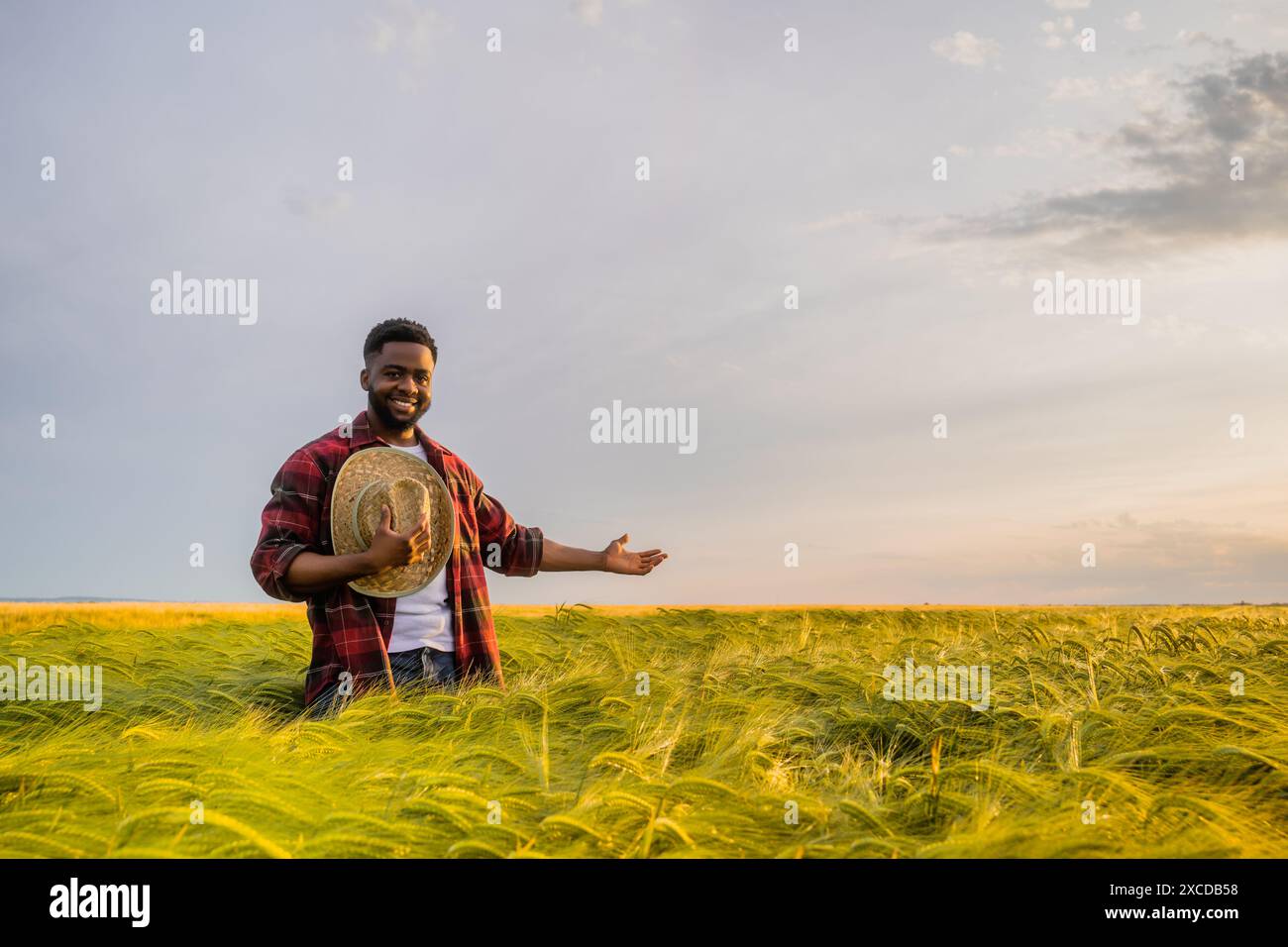Giovane agricoltore felice e felice sta mostrando il suo campo di grano coltivato. Foto Stock
