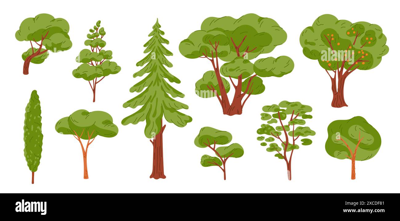 I cartoni animati generano alberi. Varie piante conifere o decidue. Boschi di foresta. Corone verdi e vegetazione lussureggiante. Tronchi e rami marrone naturale. Estate Illustrazione Vettoriale