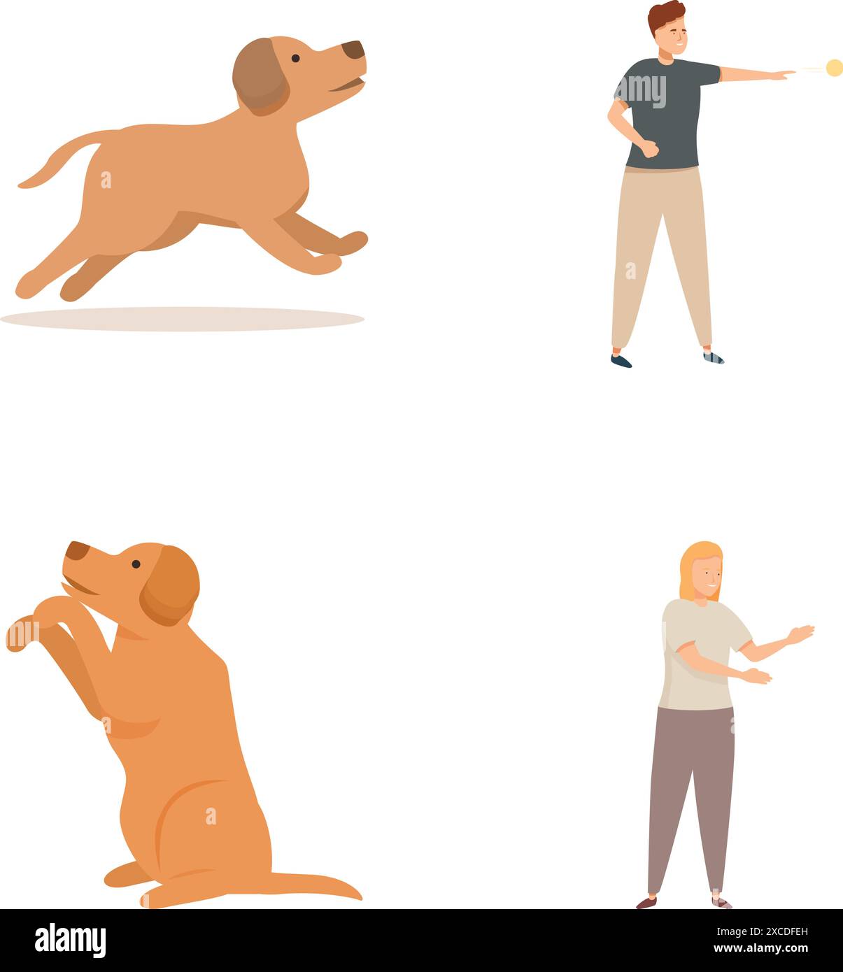 Una raccolta di illustrazioni vettoriali che mostrano varie attività di addestramento dei cani con un labrador e un istruttore Illustrazione Vettoriale