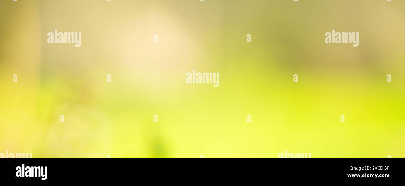 Sfondo verde naturale sfocato in primavera e bokeh estivo. Foto Stock