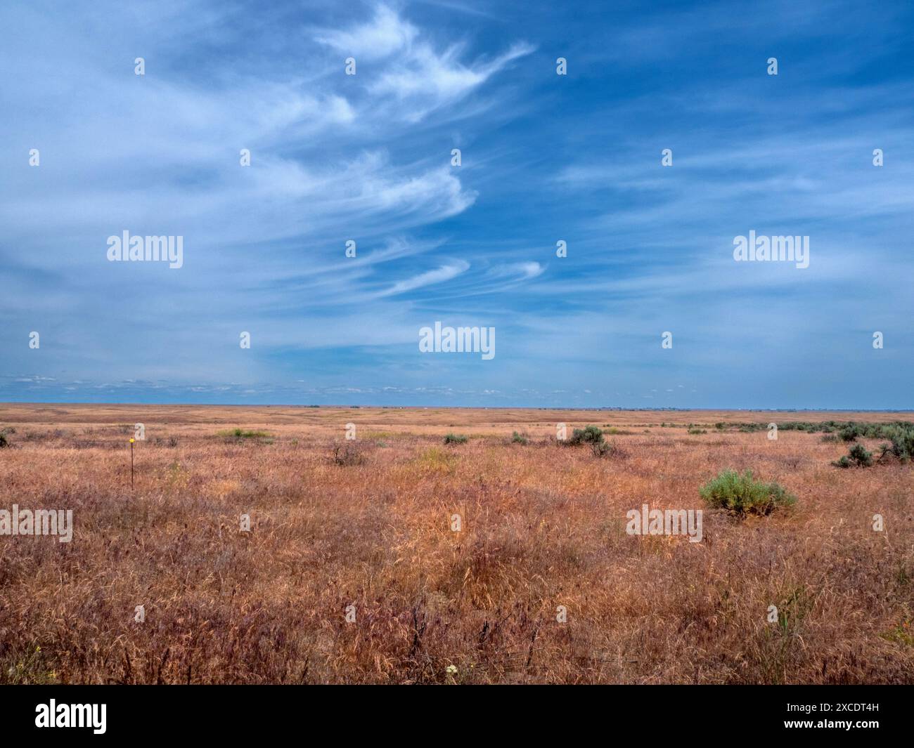 WA25410-00...WASHINGTON - terreni aperti di prateria e salvia a sud-est di Ephrata. Foto Stock