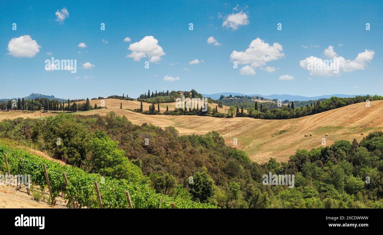 Lo splendido paesaggio della Toscana campagna estiva in Italia. Due colpi stitch ad alta risoluzione. Foto Stock