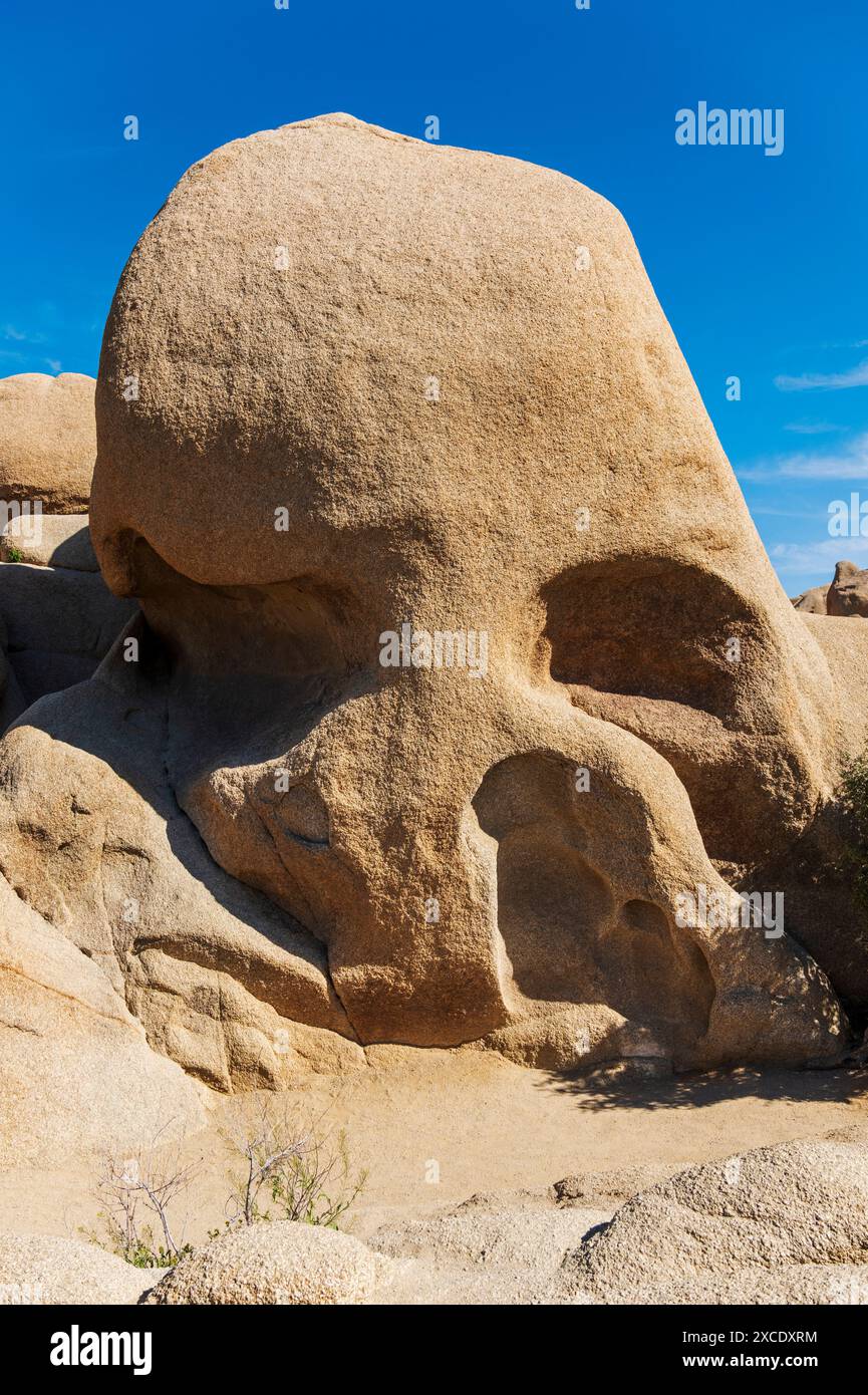Skull Rock; Joshua Tree National Park; California meridionale; Stati Uniti Foto Stock