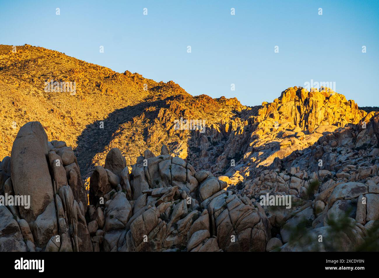 Formazioni rocciose insolite; Joshua Tree National Park; California meridionale; Stati Uniti Foto Stock