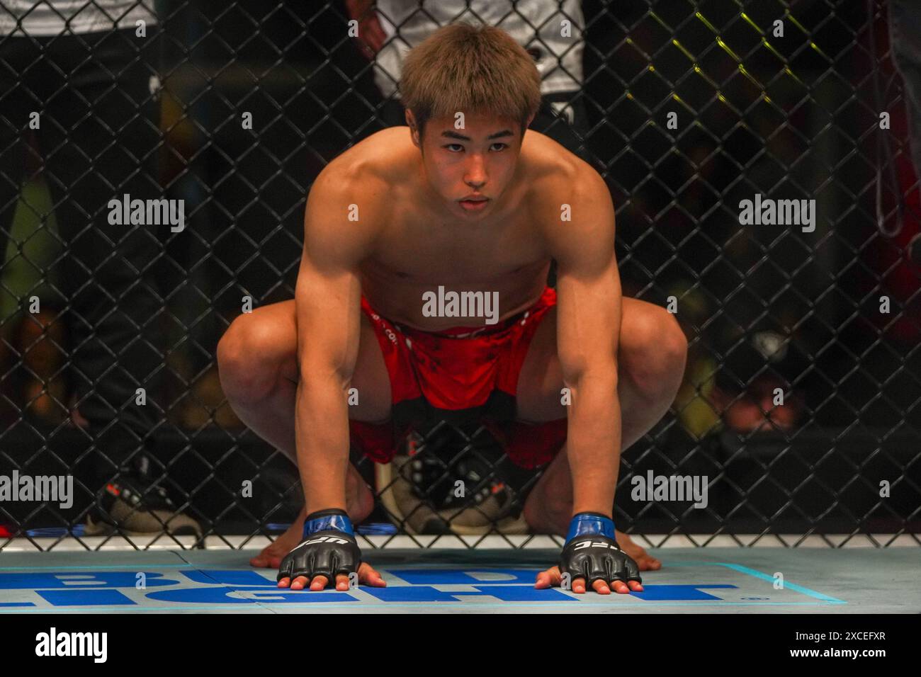 UFC Fighter Tatsuro Taira Foto Stock
