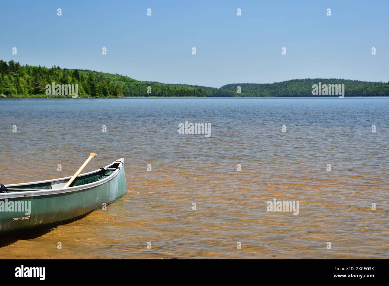 Canoa verde con pagaia pronta per l'avventura su un lago d'acqua dolce. Copia spazio. Giorno di sole, perfetto per remare in canoa Foto Stock