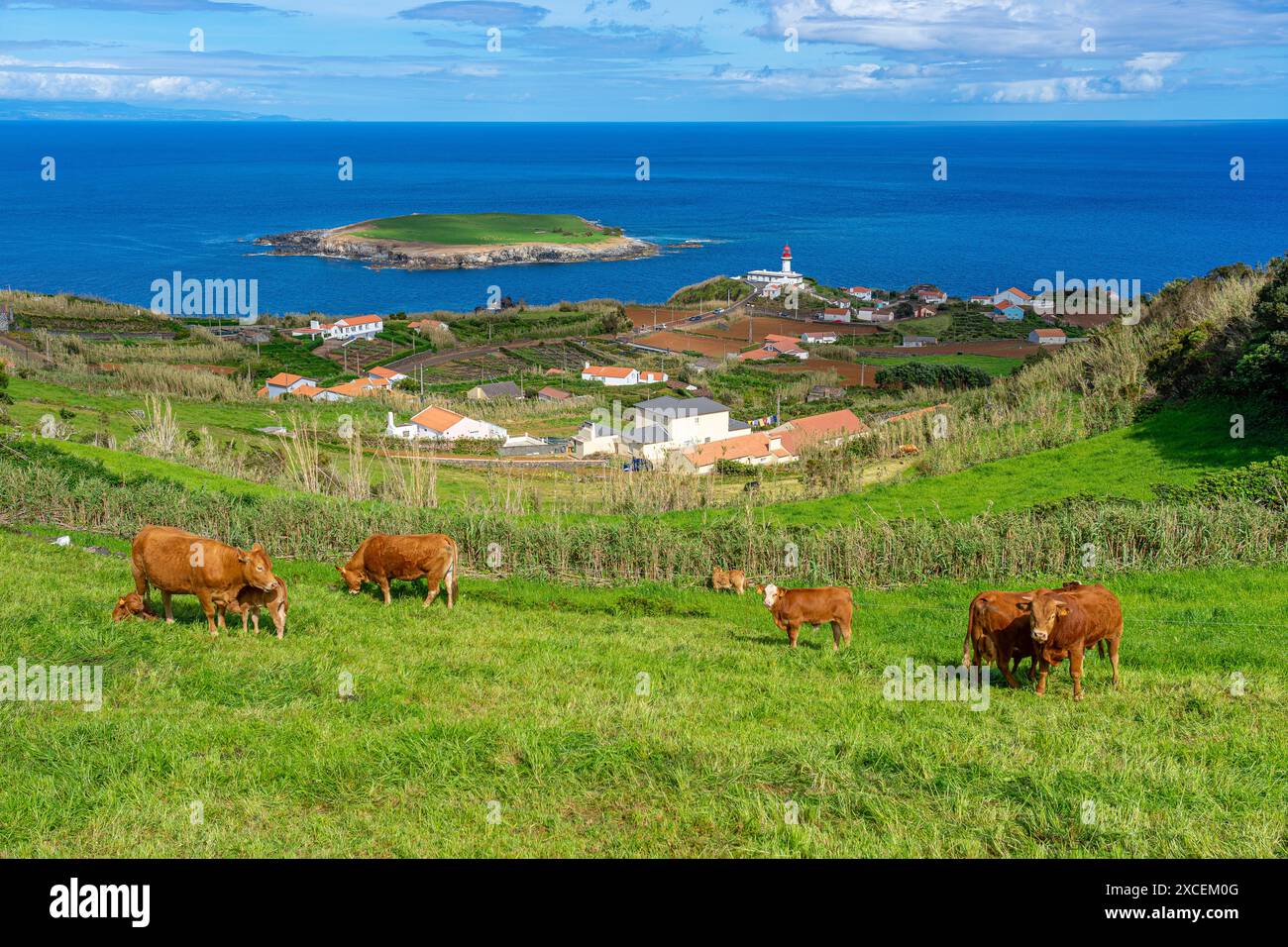 Ilhéu do topo visto da terra con case e vegetazione in primo piano. Isola di São Jorge-Azzorre-Portogallo. Foto Stock