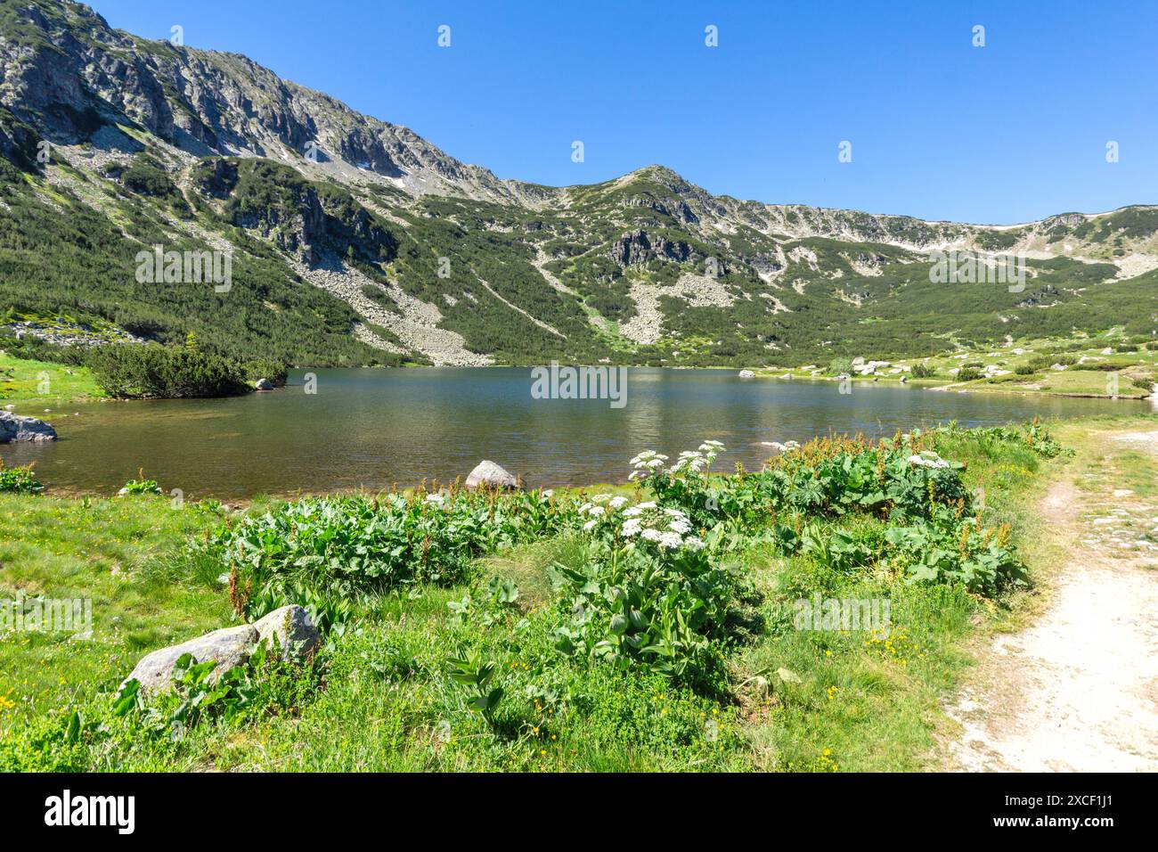 Incredibile paesaggio estivo della montagna di Rila vicino al lago Granchar, Bulgaria Foto Stock