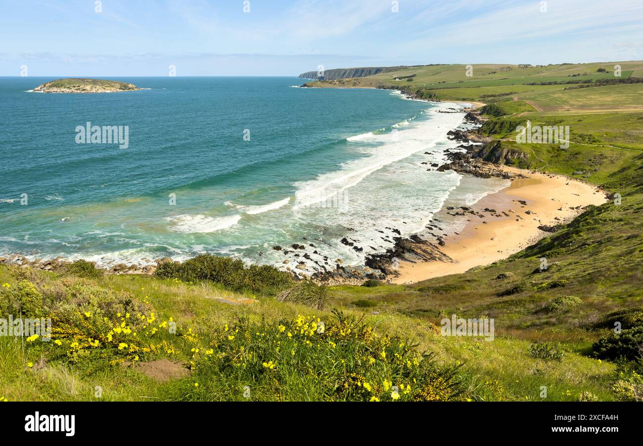 Si affaccia sul paesaggio di Petrel Cove dalla scogliera o Rosetta Head a Victor Harbor sulla penisola di Fleurieu, Australia meridionale Foto Stock