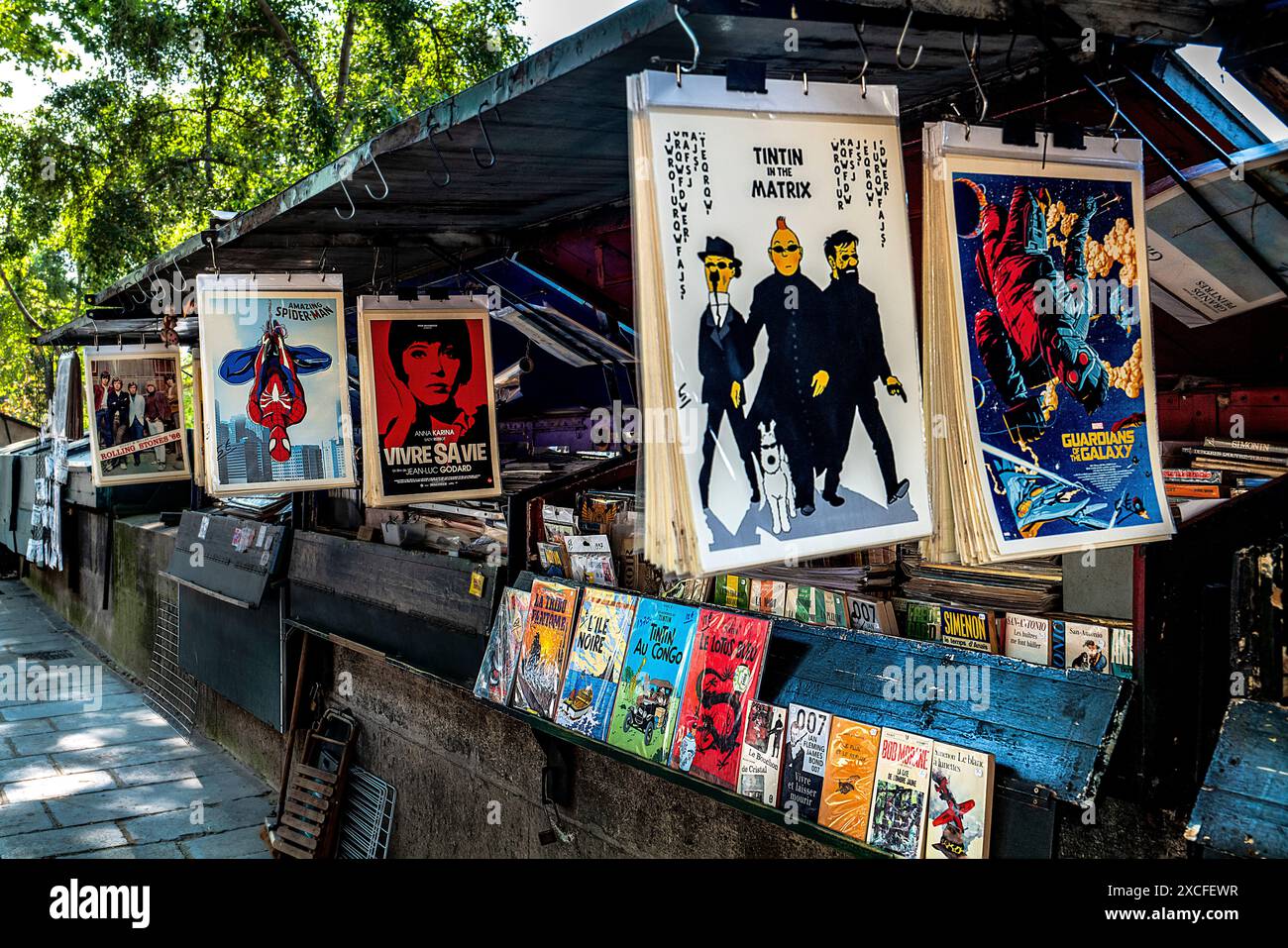 BOUQUINISTE SI TROVA LUNGO LA RIVA DESTRA DELLA SENNA PARIGI FRANCIA Foto Stock