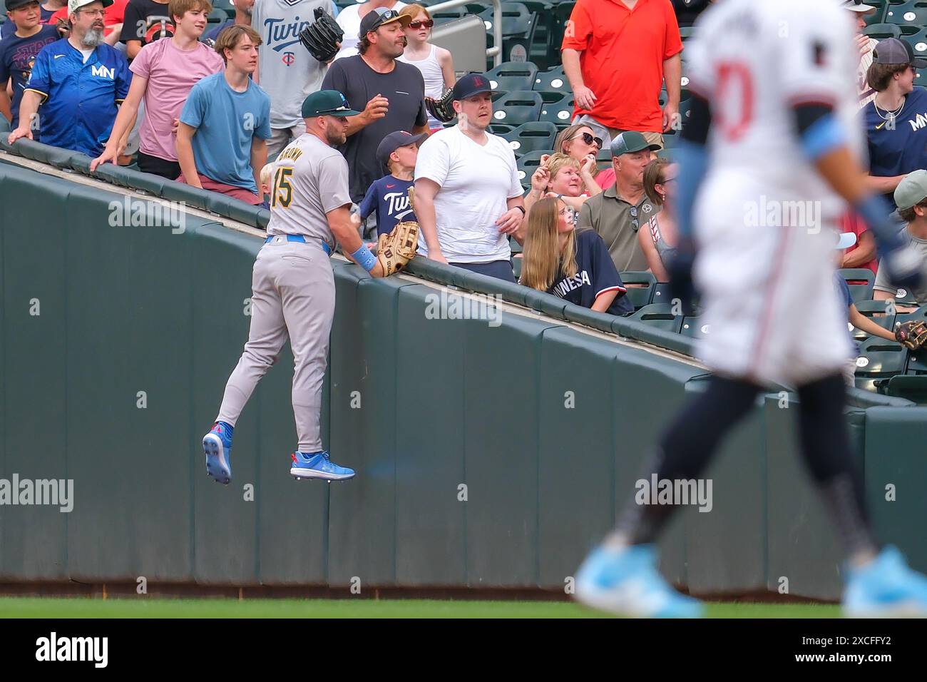 Minneapolis, Minnesota, Stati Uniti. 16 giugno 2024. l'esterno destro degli Oakland Athletics SETH BROWN #15 salta nel tentativo di prendere un pallone foul durante una partita di baseball della MLB tra i Minnesota Twins e gli Oakland Athletics nella seconda partita di doppio colpo di testa al Target Field il 16 giugno 2024. I Twins vinsero 8-7. (Immagine di credito: © Steven Garcia/ZUMA Press Wire) SOLO PER USO EDITORIALE! Non per USO commerciale! Foto Stock