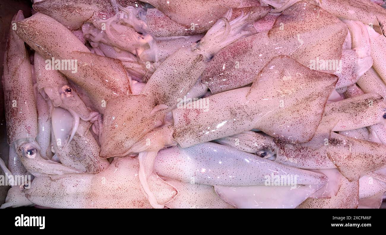 Vista dall'alto del mercato dei calamari freschi. Cucina a base di pesce. Foto Stock
